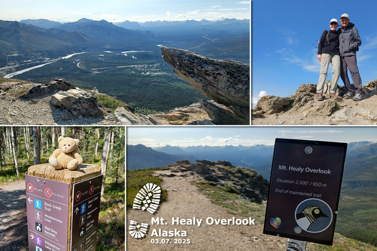 Mt Healy Overlook